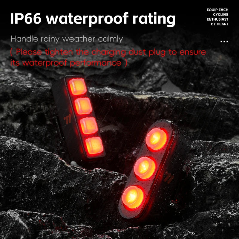 LED Bike Tail Light Beargoods