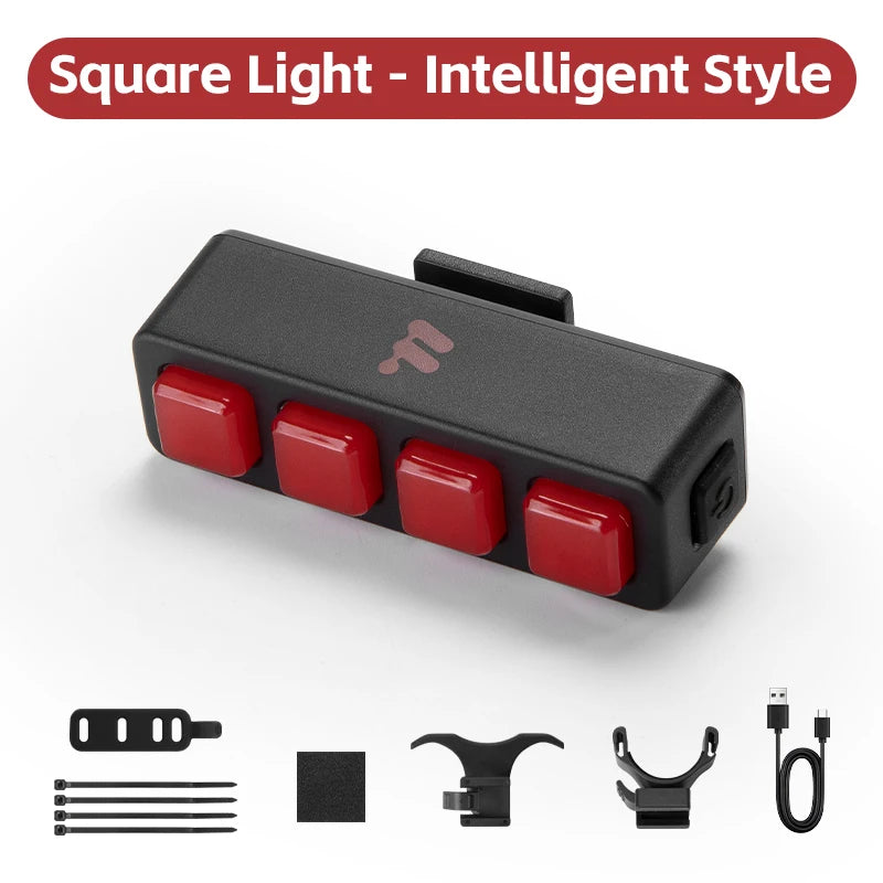 LED Bike Tail Light Beargoods