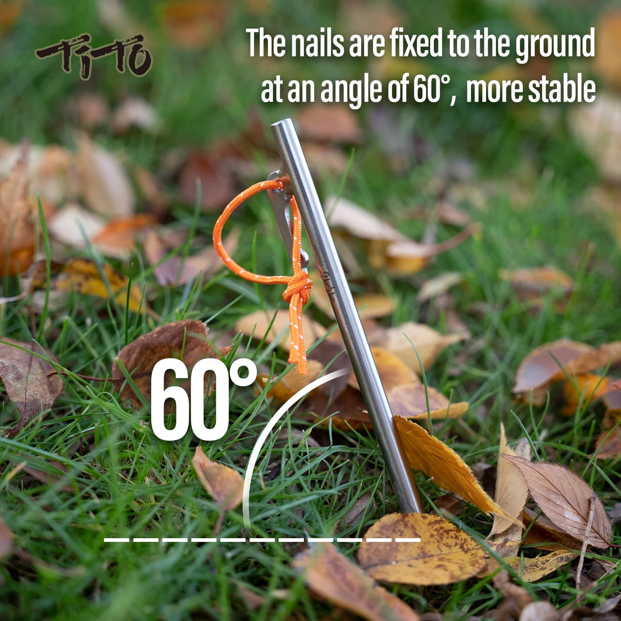 Titanium Alloy Tent Pegs Beargoods