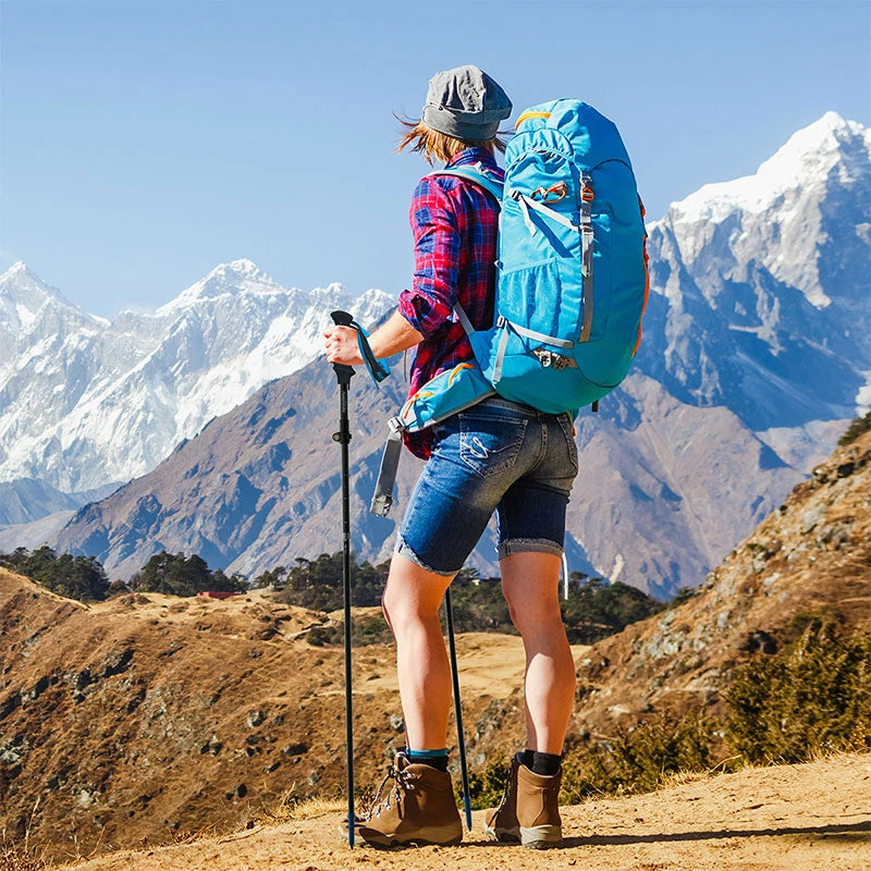 Carbon Trekking Pole Ultralight Beargoods