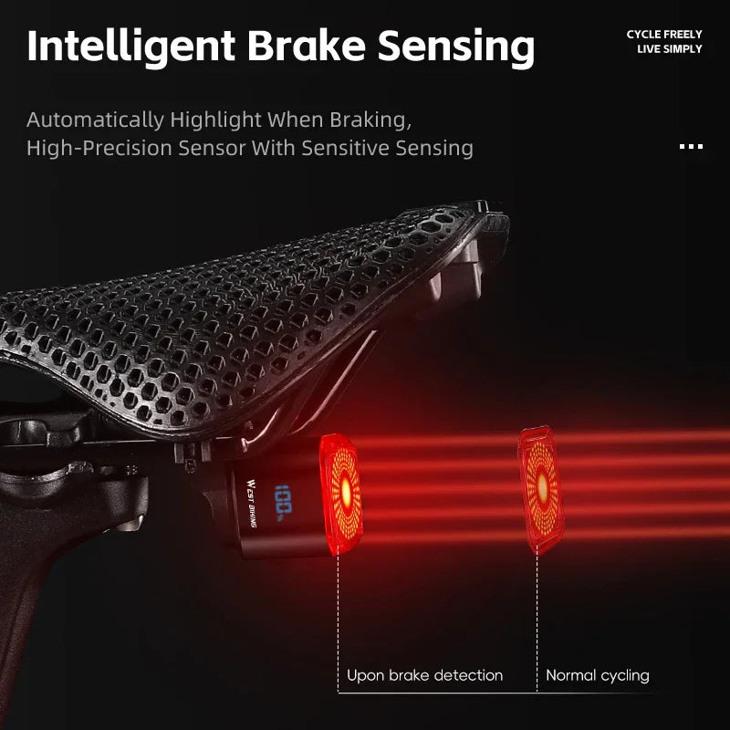 Intelligent Brake Sensing Tail Light Beargoods