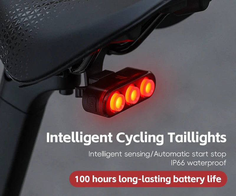 LED Bike Tail Light Beargoods