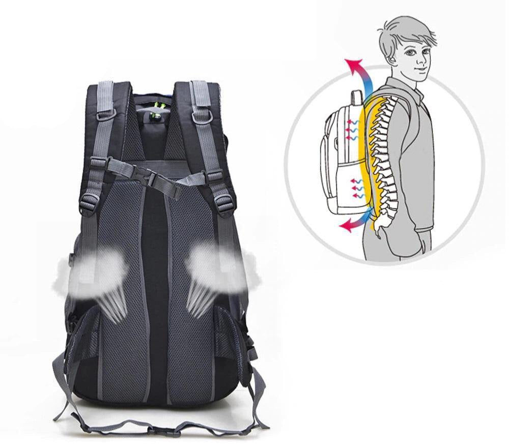 50L Hiking Backpack - Beargoods 50L Hiking Backpack Beargoods.co.uk 45.99 Beargoods