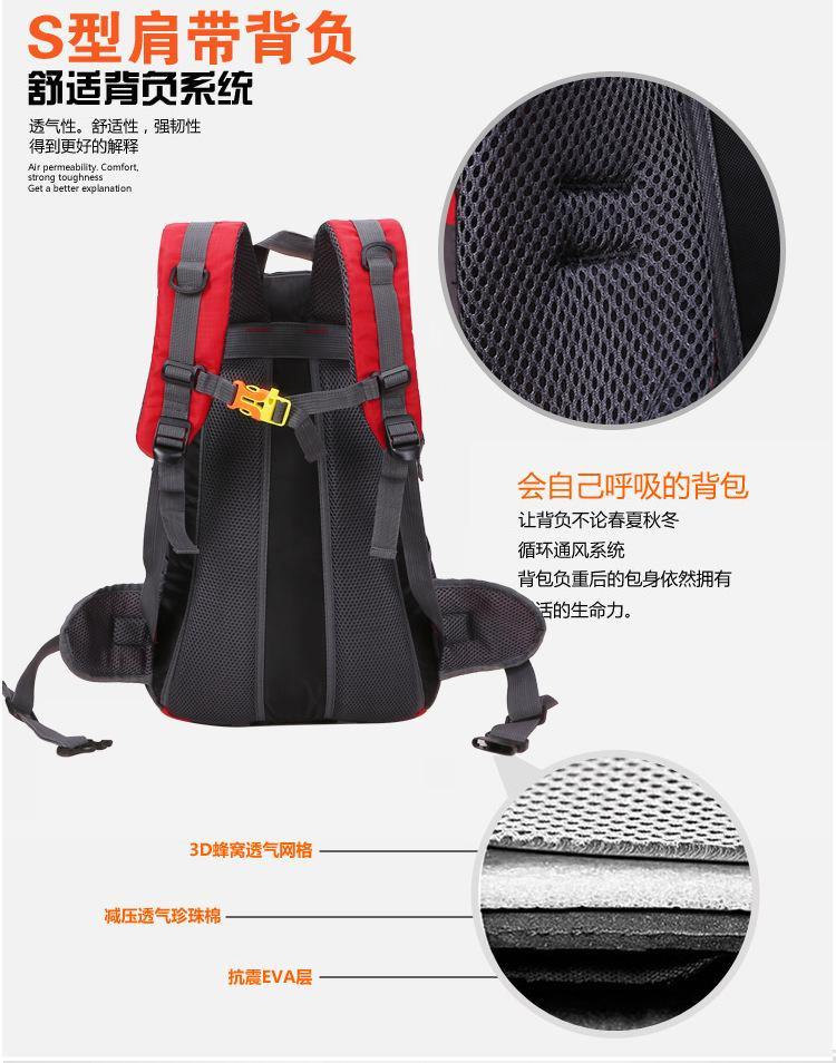 30L Waterproof Backpack - Beargoods 30L Waterproof Backpack Beargoods.co.uk 27.99 Beargoods