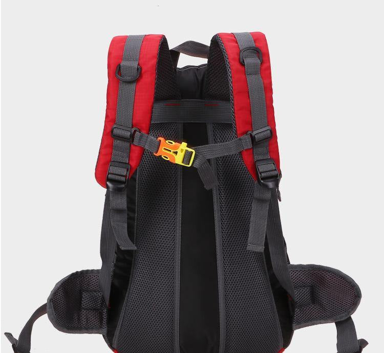 30L Waterproof Backpack - Beargoods 30L Waterproof Backpack Beargoods.co.uk 27.99 Beargoods