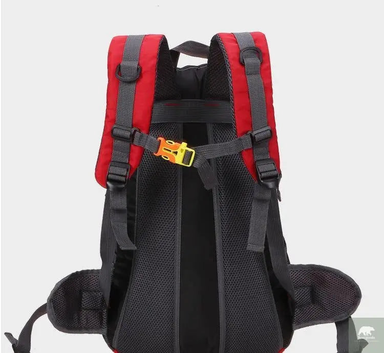 30L Waterproof Backpack - Beargoods 30L Waterproof Backpack Beargoods.co.uk 27.99 Beargoods