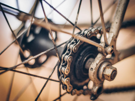 Ride Maintenance