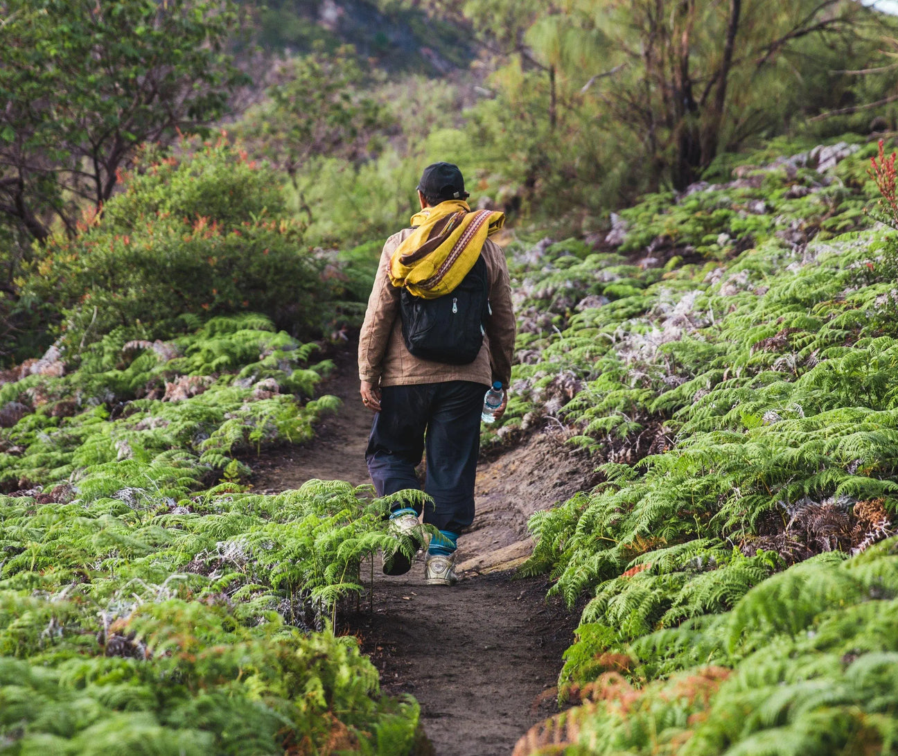 Rucksacks - Beargoods