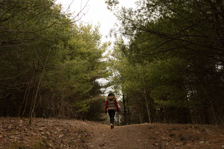 Walking Poles - Beargoods