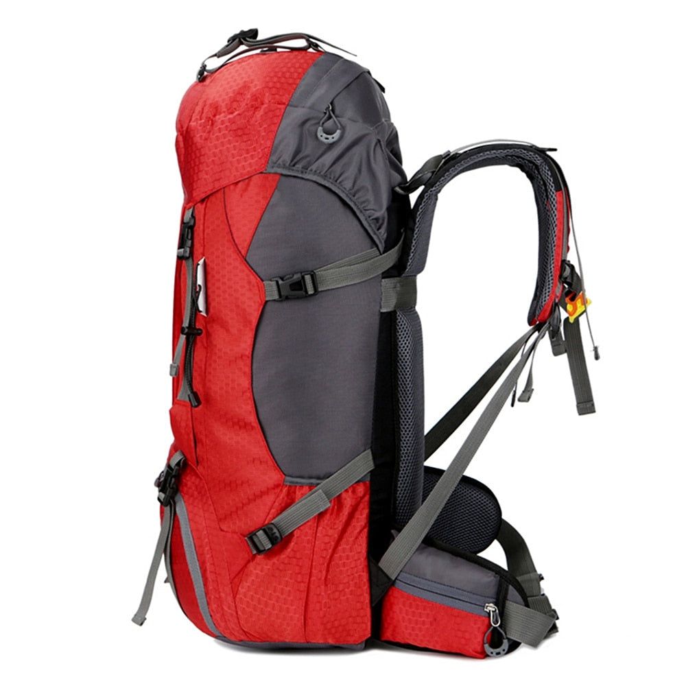 60L Hiking Backpack - Beargoods