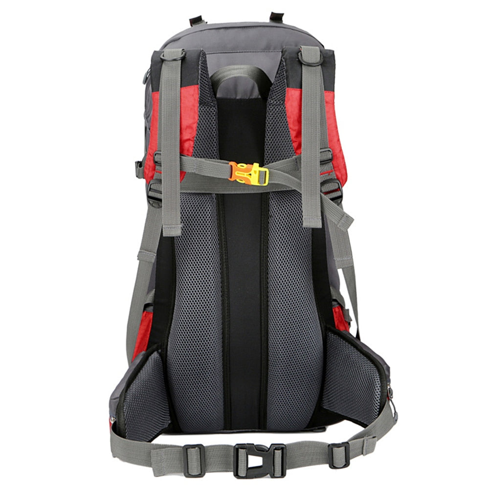 60L Hiking Backpack - Beargoods