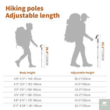 Ultralight Carbon Fibre Pole Pair Beargoods