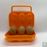6 Egg Travel Container - Beargoods 6 Egg Travel Container Beargoods.co.uk Kitchen 10.99 Beargoods