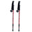 Nordic Walking Sticks Telescopic - Beargoods Nordic Walking Sticks Telescopic Beargoods.co.uk  44.99 Beargoods